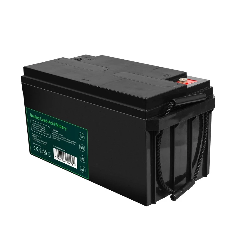 Batteria AGM VRLA 12V 65Ah IP54