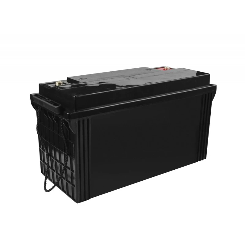 Batteria al piombo-acido sigillata Green Cell AGM31