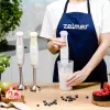 Frullatore Zelmer ZHB4561I Pulsar Deluxe
