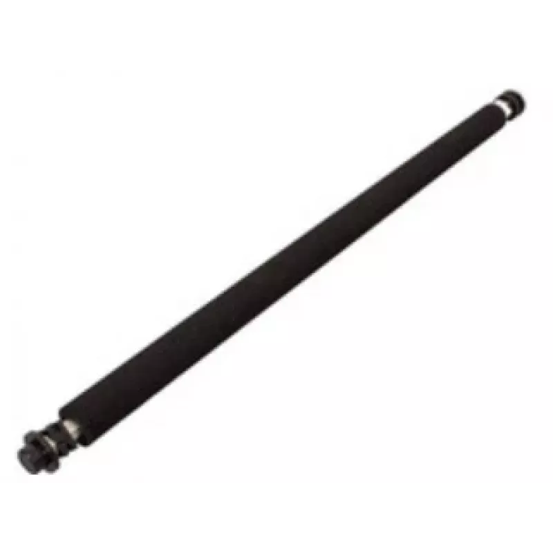 Ricoh B0393820 rullo ricambio/accessorio per stampante/scanner