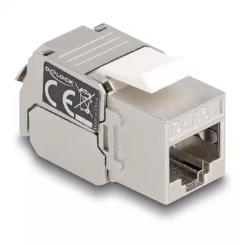 DeLOCK modulo keystone RJ45 connettore femmina a LSA Cat.6A con LED argento-bianco