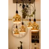 Lampadina LED Segula 55058 bianco caldo 1900 K 6 W E27