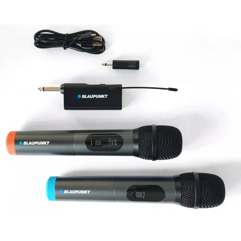 Microfono Blaupunkt WM60UDB