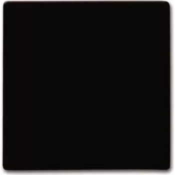 BUSCH JAEGER 2105-31 - marrone - Busch-Jaeger - 70 mm - 70 mm - 1,3 cm - 1 pezzo
