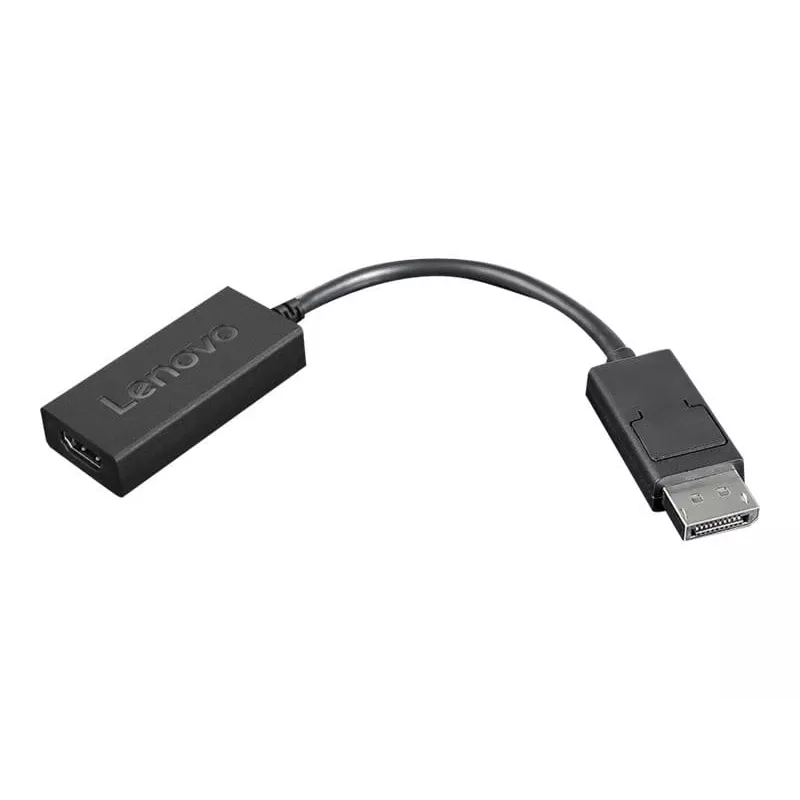 Lenovo 4X90R61023 adattatore da DisplayPort a HDMI 2.0b, DP maschio – HDMI femmina, 22,5 cm, 4K, nero