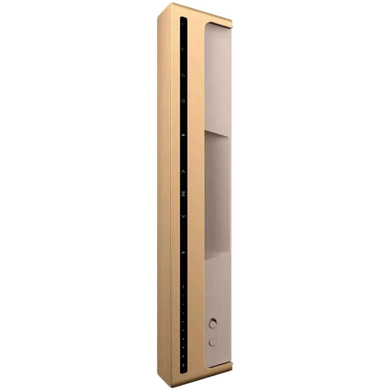 Beosound Level diffusore Gold Tone Alu (copertura Light Oak)