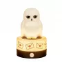BlueSkyStudios Harry Potter - mini lampada USB-C (dimmerabile)