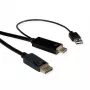 ROTRONIC-SECOMP Roline - Cavo video - HDMI, USB (solo alimentazione) maschio a DisplayPort maschio - 1 m - schermato - Nero - supporta 4K 60 Hz (384