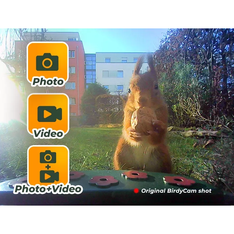 EASYPIX Bird Camera Easypix Bird Cam 10123 1080p HD visione notturna