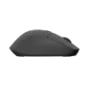 Mouse wireless NATEC KITE NMY-2347, fino a 4000 DPI, click silenziosi, rotella inclinabile, nero