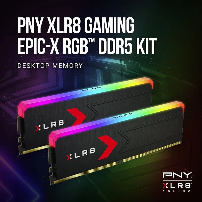 Memoria PNY DDR5 32GB 5600 BULK