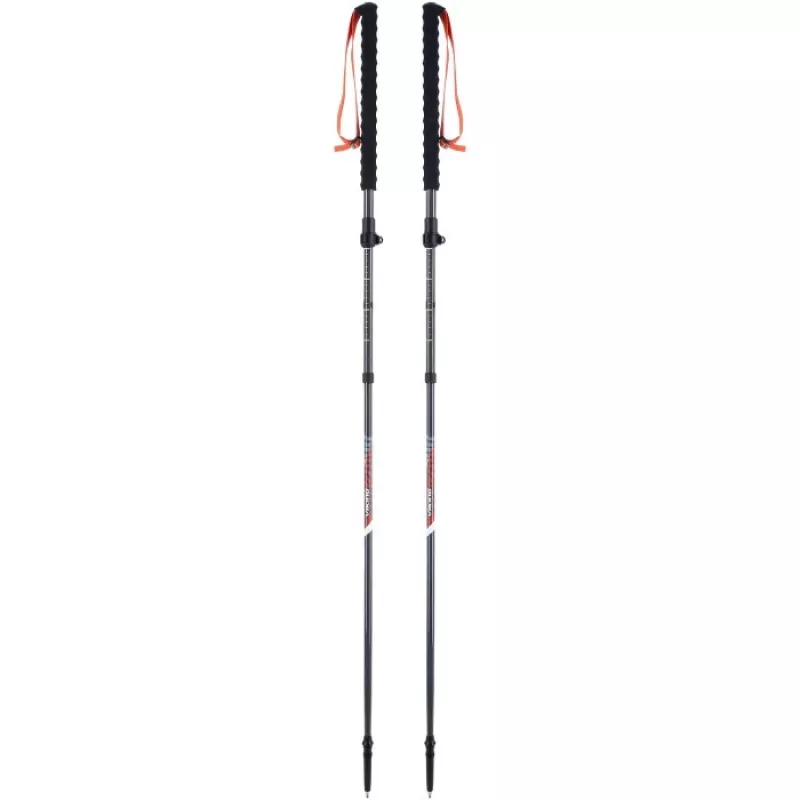 Bastoncini da sci per adulti VIKING Mission FS pieghevoli sci alpinismo grigio UNI