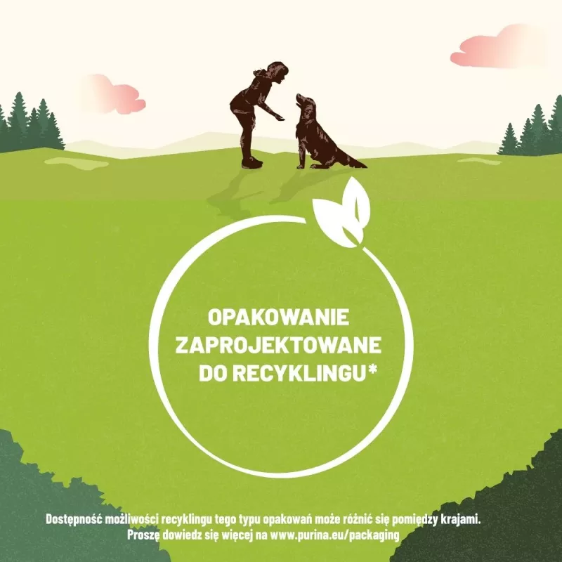 PURINA Adventuros Training salmone - snack per cani - 40 g