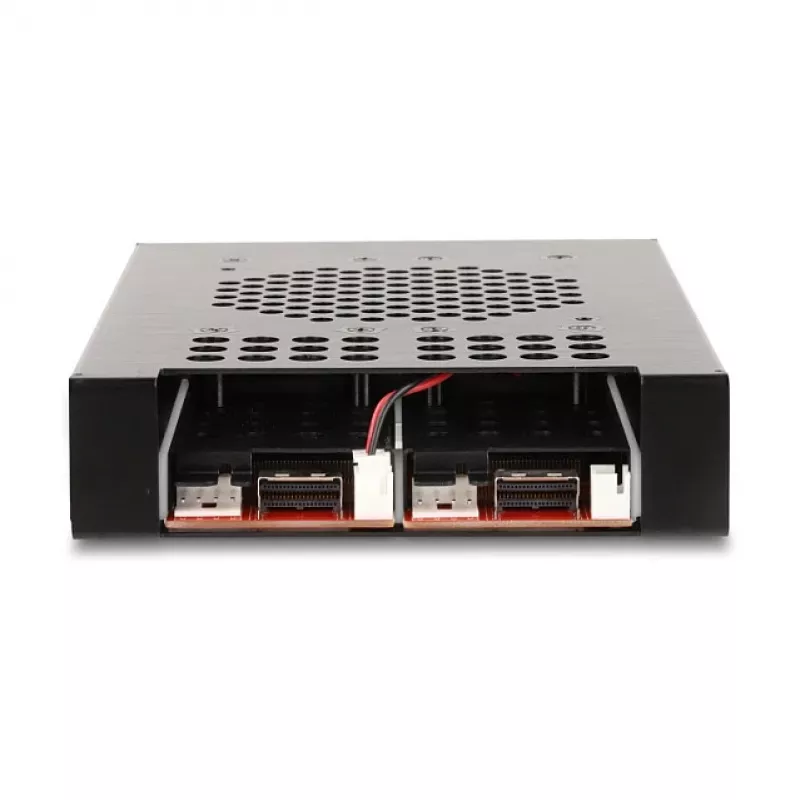 Case per SSD DeLOCK 47117 telaio estraibile 3,5 pollici per 2 x SSD M.2 NVMe