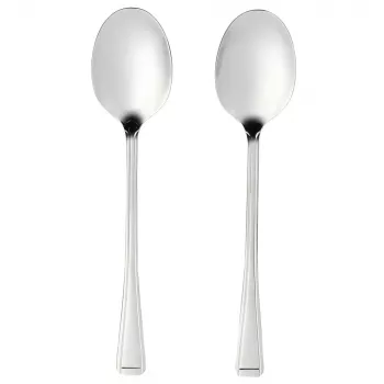 Set cucchiai da portata Salter BW09649 – 2 pezzi in acciaio inox, lavabili in lavastoviglie