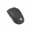Natec Squid NZB-1989 Kit tastiera e mouse wireless, layout US, nero