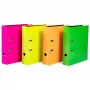 Raccoglitore ad anelli HERMA 20062 A4 multicolore anelli a D