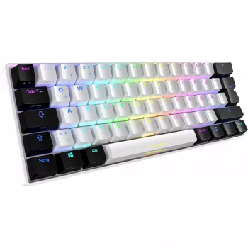 Sharkoon SGK50 S4 tastiera gaming USB QWERTZ tedesco bianca RGB LED