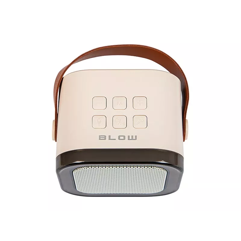 Cassa karaoke, cassa Bluetooth KARAOKE RGB, 30W