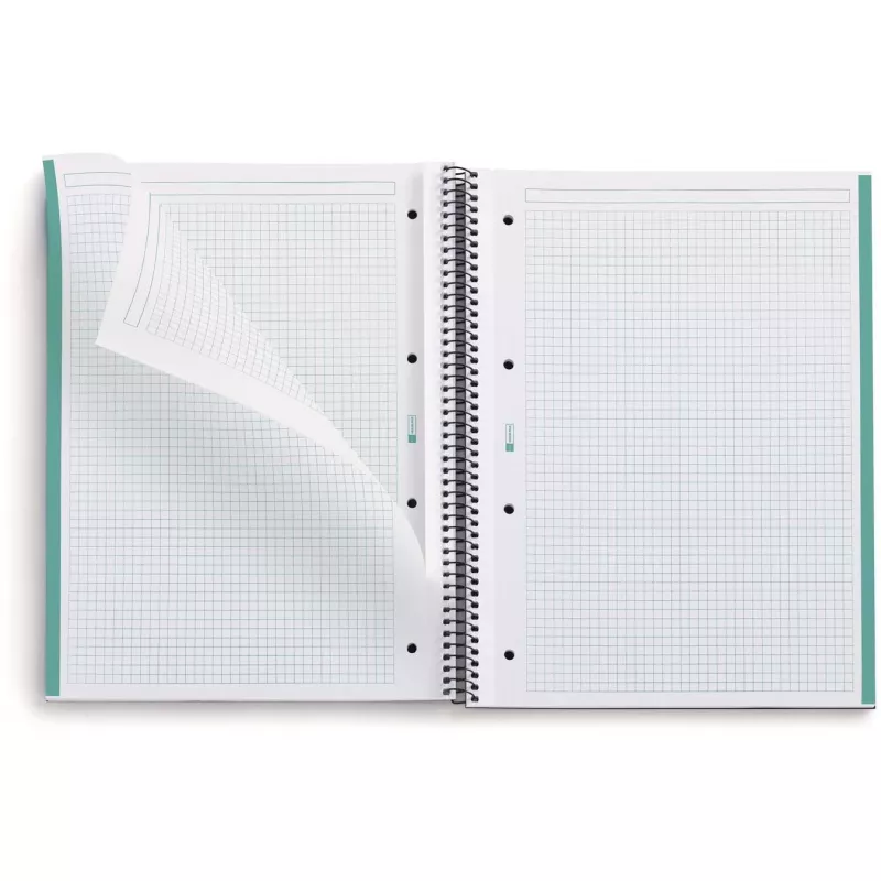 MAUL A613351 Eco Emotions 1 Blocco college A4 a quadretti, menta