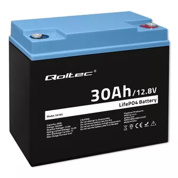 Batteria ricaricabile LiFePO4 QOLTEC 12,8V 30Ah 384Wh con BMS