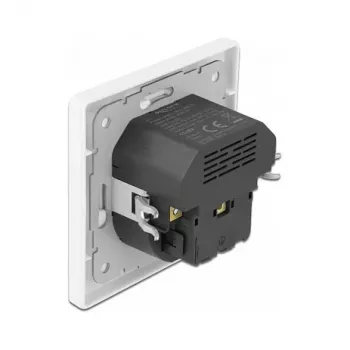 Presa DeLOCK 11489 CEE 7/3 + USB bianco 250V 16A