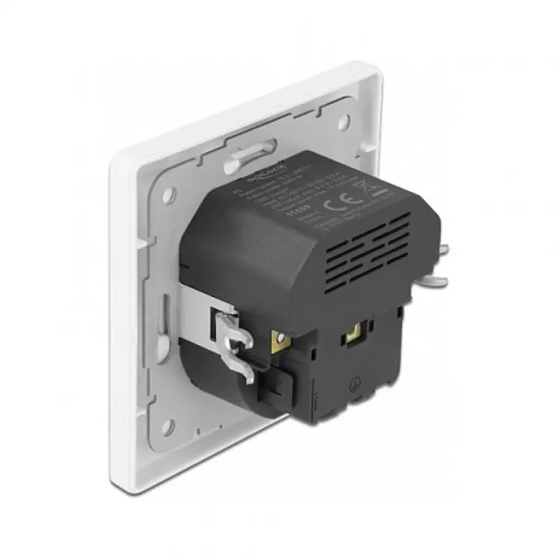 Presa DeLOCK 11489 CEE 7/3 + USB bianco 250V 16A