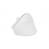 NATEC Crake 2 mouse, universale, per destrimani, RF Wireless + Bluetooth, ottico, 2400 DPI