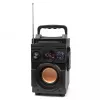 Squeak Bassblaster altoparlante Bluetooth 5.1, radio FM, lettore MP3 SQ1001