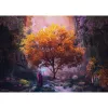 Cameron Gray: Magia del bosco, Puzzle 1000 pezzi