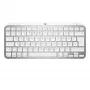 Tastiera MX Keys Mini Mac Pale 920-010526 grigio