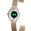 Smartwatch MaxCom FW42 GOLD oro
