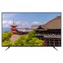 164,0cm/65 (3840x2160) JAPANNEXT JN-IPS650UHD60F 16:9 IPS 60Hz HDMI USB WLAN altoparlanti nero