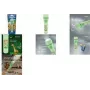 Torcia portatile Varta Kids Flashlight verde chiaro ABS PC 70h autonomia batteria