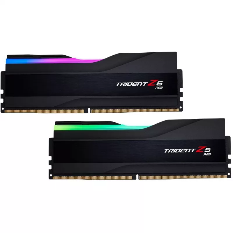 G.skill F5-6400J3239F24GX2-TZ5RK modulo di memoria