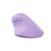 NATEC Crake 2 mouse universale destrimani RF Wireless + Bluetooth ottico 2400 DPI
