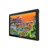 Tavoletta grafica Huion Kamvas 22 Plus