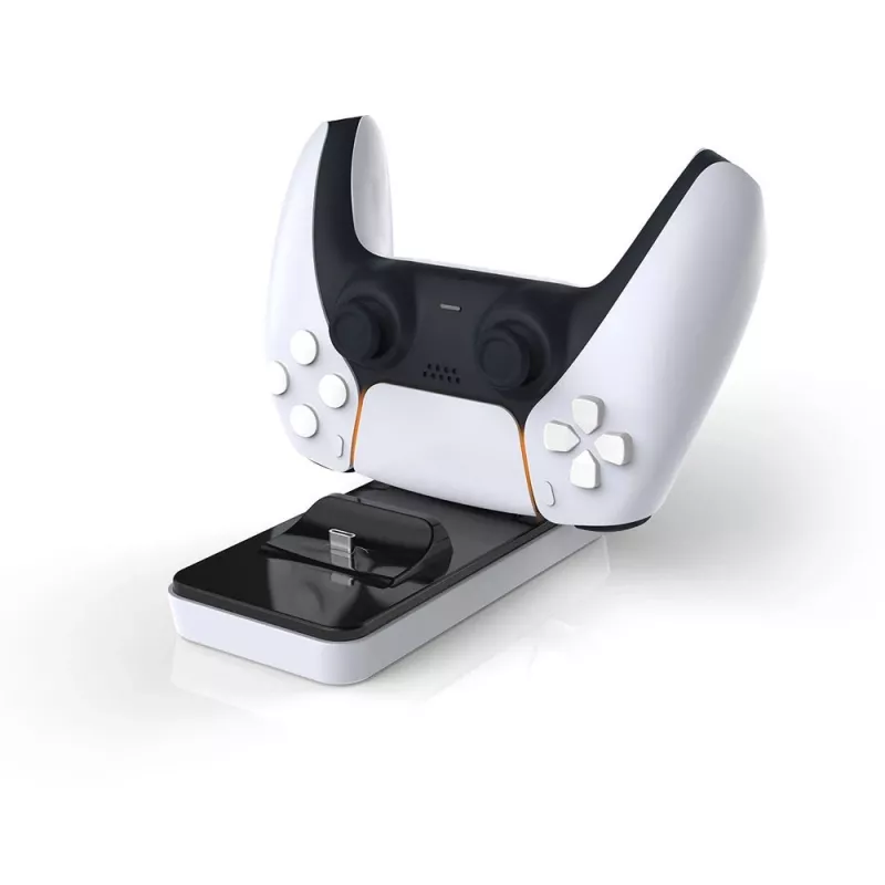 Raptor CS200-LT, interno, USB, nero, bianco