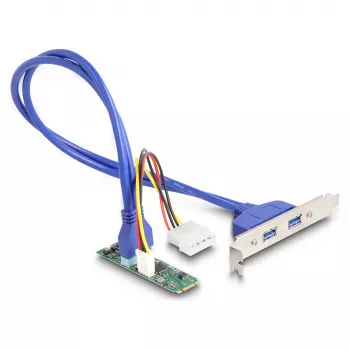DeLOCK schede/adattatori di interfaccia 61065 interno USB 3.2 Gen 1 M.2 connettore maschio