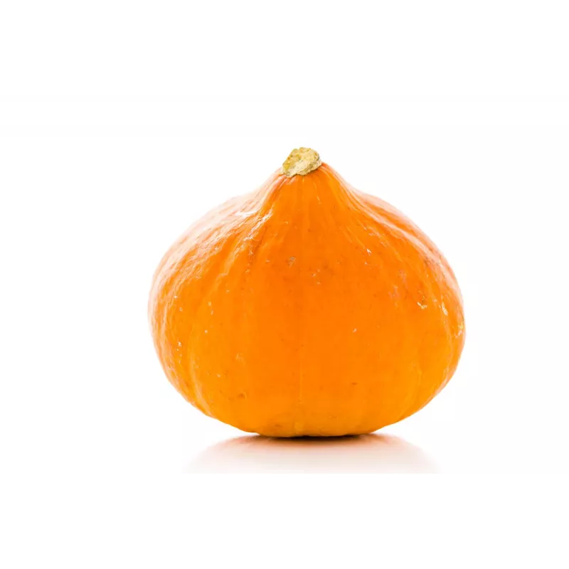 Semi di ortaggi zucca Uchiki Kuri Toraf, confezione da 5g