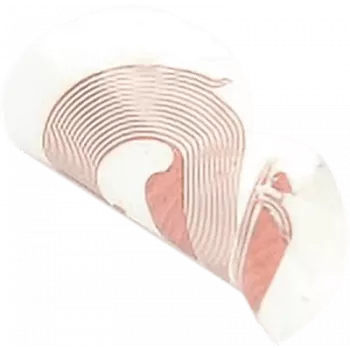 Adesivi NFC SCOT NTAG213 18 mm bianco, tag RFID, confezione da 10