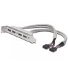 Cavo con staffa slot USB 2.0 HighSpeed Type 2xIDC (5pin)/4xUSB A M/F grigio 0,25 m
