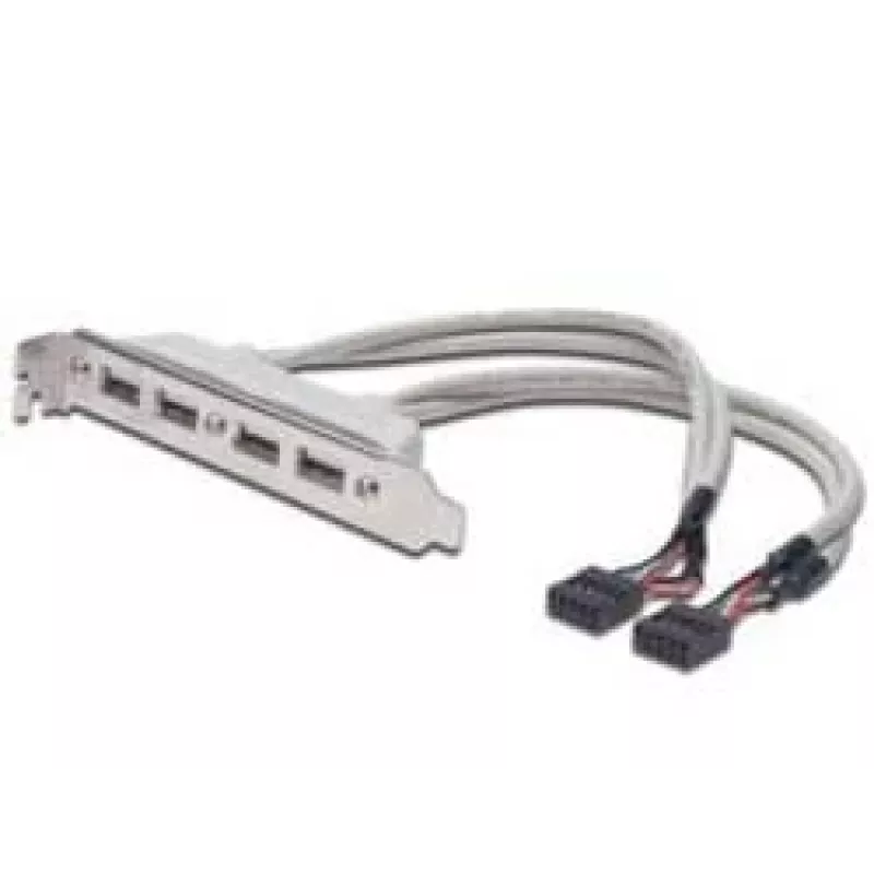 Cavo con staffa slot USB 2.0 HighSpeed Type 2xIDC (5pin)/4xUSB A M/F grigio 0,25 m