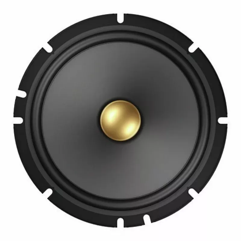 Altoparlanti per auto Pioneer TS-A1601C a 2 vie 350 W 80 W