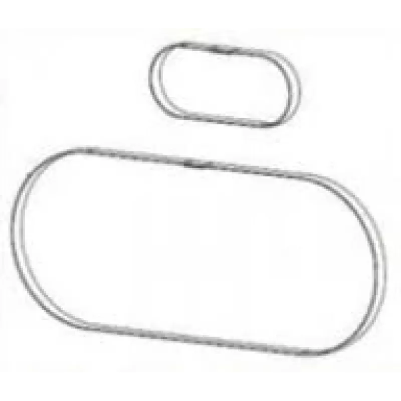 Zebra P1046696-146 ricambio/accessorio per stampante/scanner cinghia 2 pz.