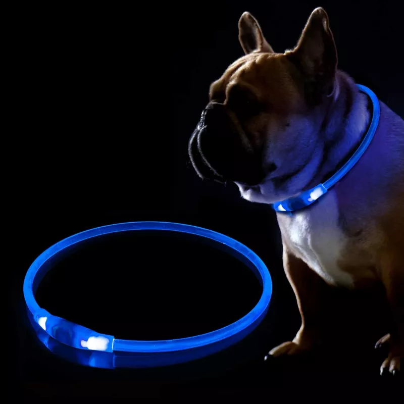Collare LED KABB blu per cani e gatti – ricaricabile, collare di sicurezza regolabile con illuminazione