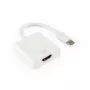 Adattatore SBOX connettore femmina HDMI a connettore maschio USB Type-C (HDMI F → Type-C M) di SBOX