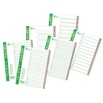 Separatori Forpus, A4, dic-gen, plastica