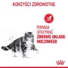 Royal Canin Urinary Care crocchette per gatti 4 kg