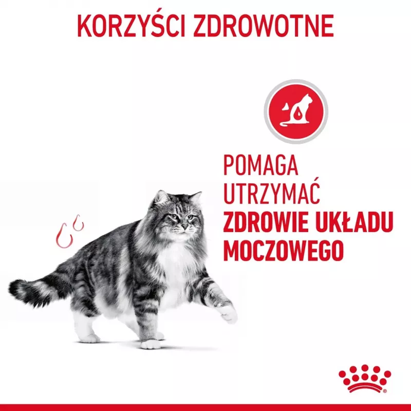 Royal Canin Urinary Care crocchette per gatti 4 kg